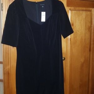 LBD. Black Dress Ann Taylor